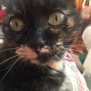 Meet your Posher, Tammy